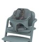 CYBEX Lemo Harness - Light Grey in Light Grey large image number 2 Small