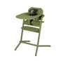 CYBEX LEMO One Box - Outback Green in Outback Green (Plastic) large image number 1 Small