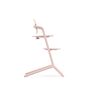CYBEX Lemo - Pearl Pink in Pearl Pink large numero immagine 3 Small
