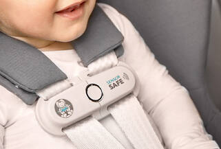 All Accessories for Car Seats